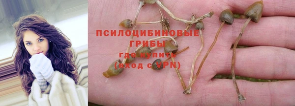 круглые Вяземский