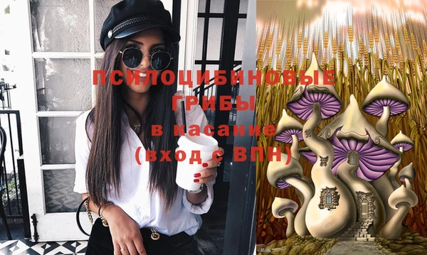 круглые Вяземский