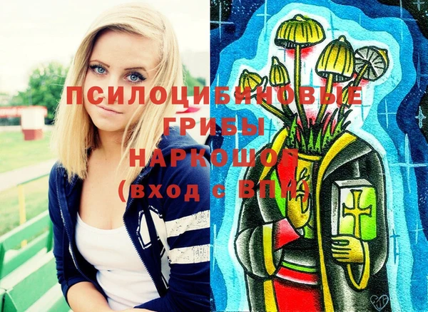 герыч Горнозаводск