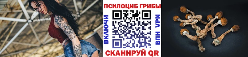 купить наркотик  Зеленогорск  Псилоцибиновые грибы GOLDEN TEACHER 
